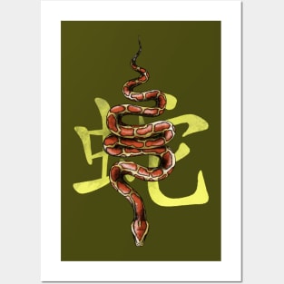 Chinese Zodiac: The Snake Posters and Art